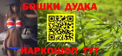 мдпв Будённовск