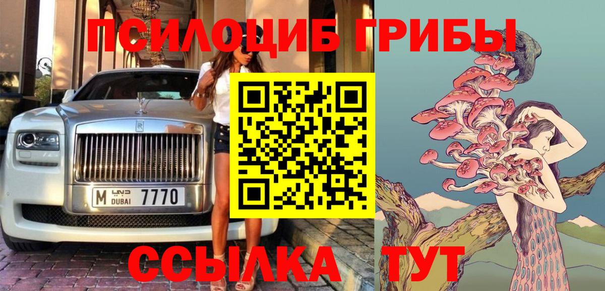 Псилоцибиновые грибы Psilocybine cubensis  Галлюциногенные грибы Psilocybine cubensis  Вход с VPN  Луга 