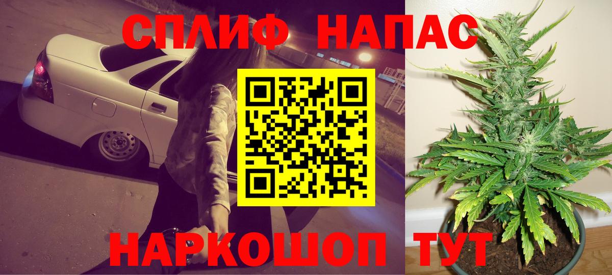 Канабис сатива Луга