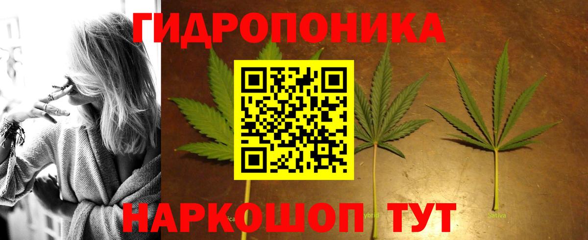 МАРИХУАНА Bruce Banner  Конопля индика  Вход с VPN  Луга  Бошки Шишки OG Kush 